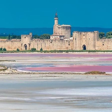 Maison A 800M Des Remparts Aigues-Mortes Extérieur photo