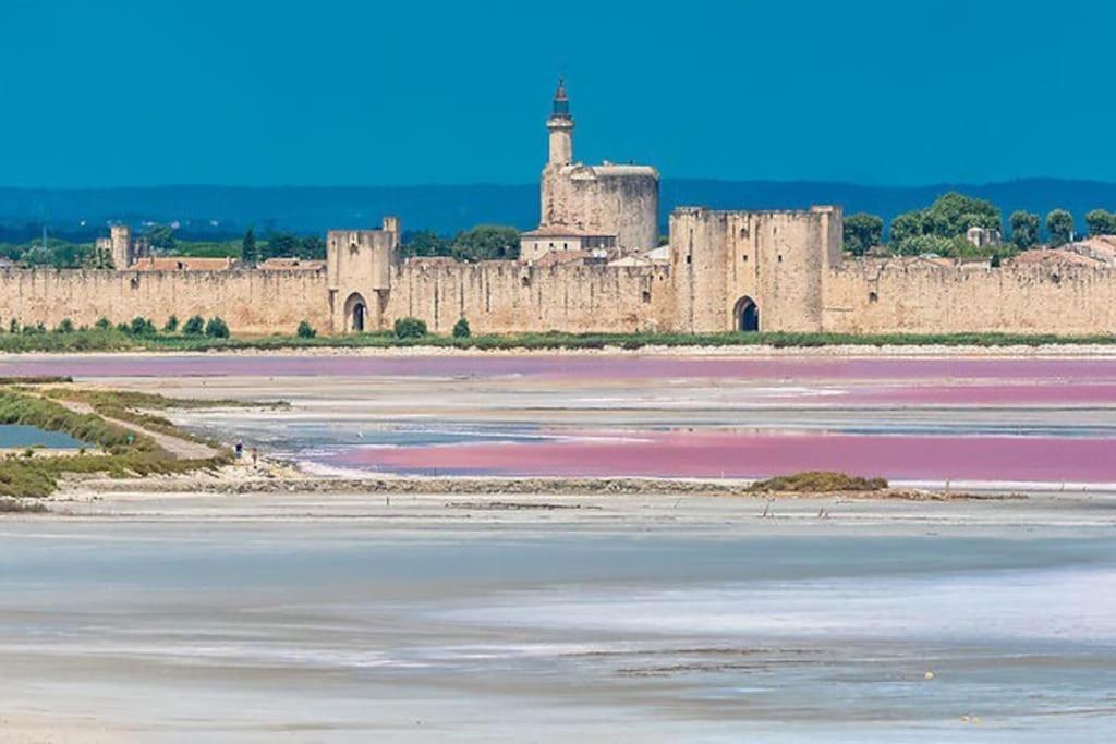 Maison A 800M Des Remparts Aigues-Mortes Extérieur photo